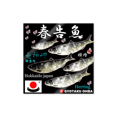 春告魚　竜神岬（ 鰊；ニシン；Hokkaido japan；神恵内 ）あらゆる生命たちへ感謝をささげます。 ステッカー