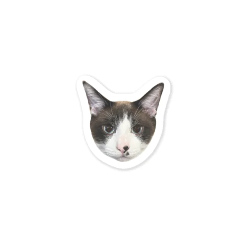 BINEKO FACE Sticker