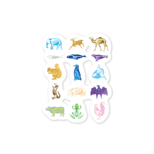 Animalia Anatomy Sticker