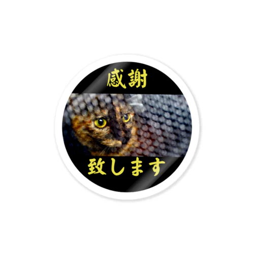 感謝の意を述べられる猫 Sticker