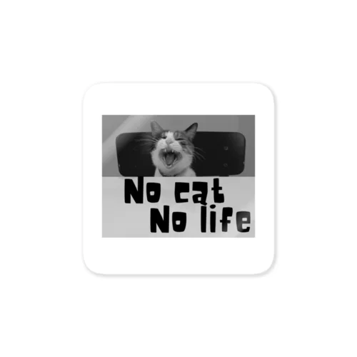 No cat No life ステッカー