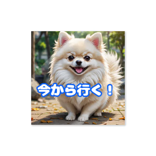 今から行くポメチワ Sticker