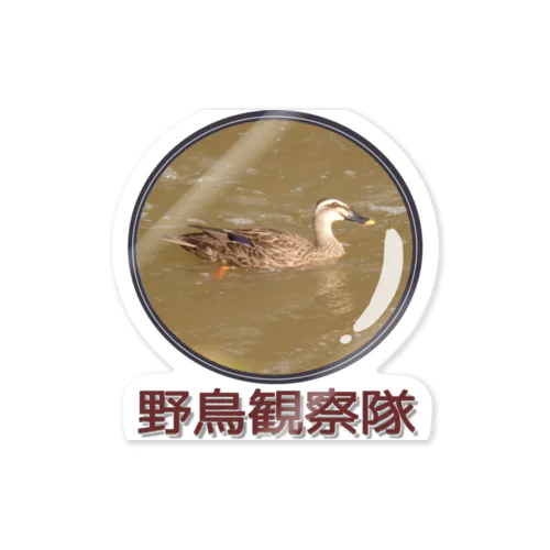 野鳥観察隊　カルガモ　日本の野鳥　水辺の鳥 Sticker