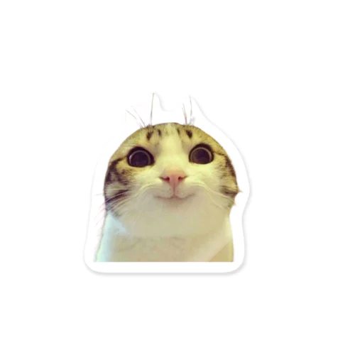 お願い猫 meme Sticker