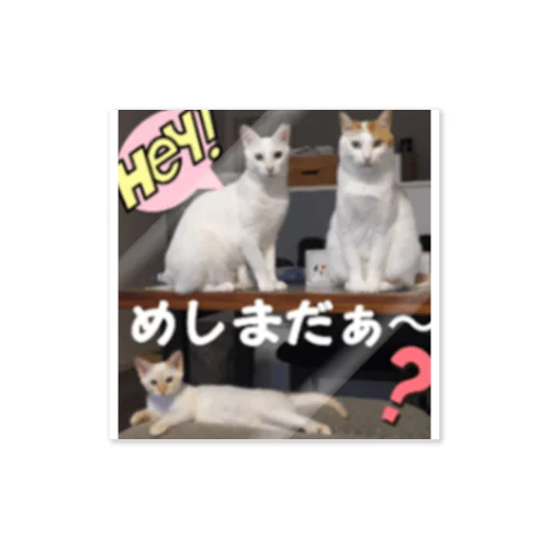 腹ペコキャット Sticker