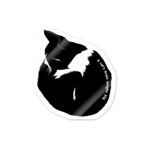 A cat's brain weighs 25g Sticker