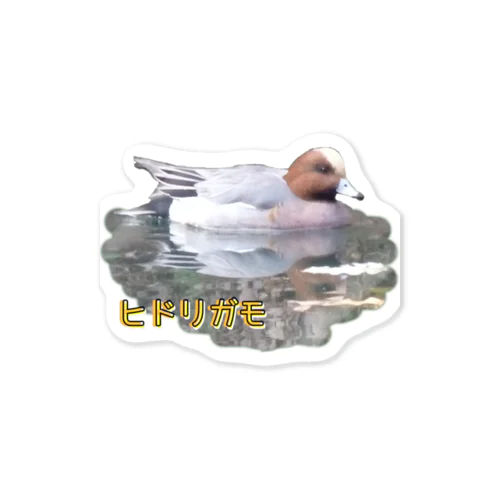 ヒドリガモ　日本の野鳥　水辺の鳥 Sticker