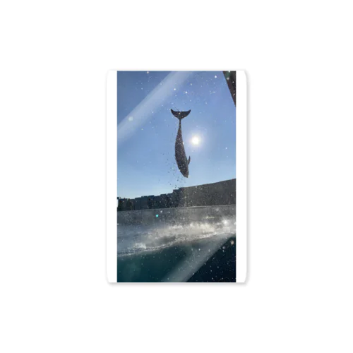 イルカのジャンプ ステッカー