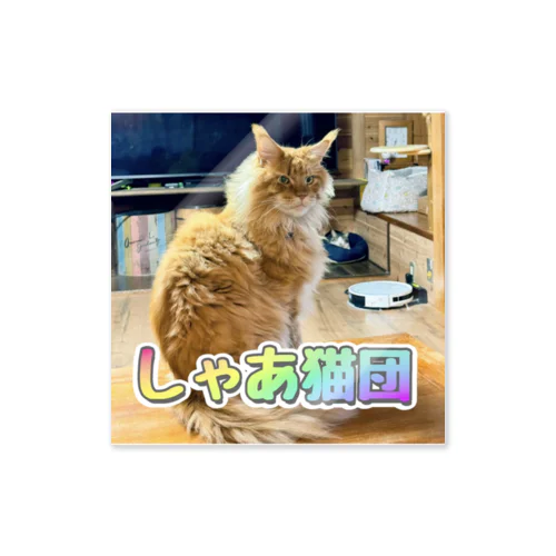 チャチャ（しゃあ猫団） ステッカー