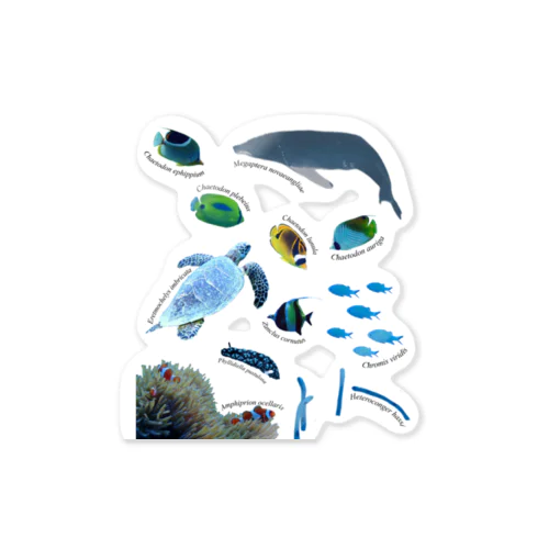 沖縄の海の生き物 Sticker