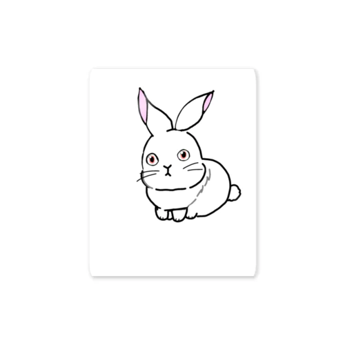 KIDS RABBIT_1 Sticker