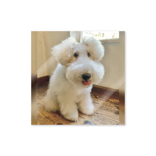 テヘペロちゅうちゃん TeeheeChewchan sticker Sticker