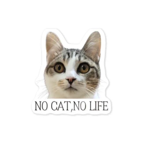 NO CAT, NO LIFE Sticker