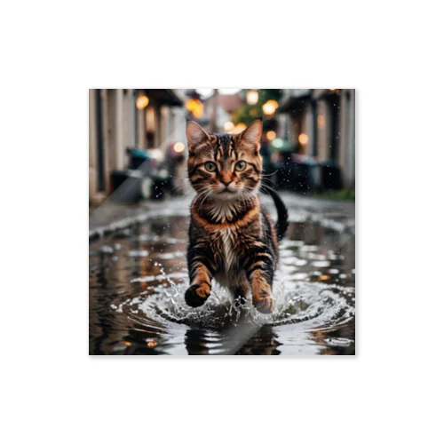 水たまりをパシャパシャ駆け抜ける猫 ステッカー