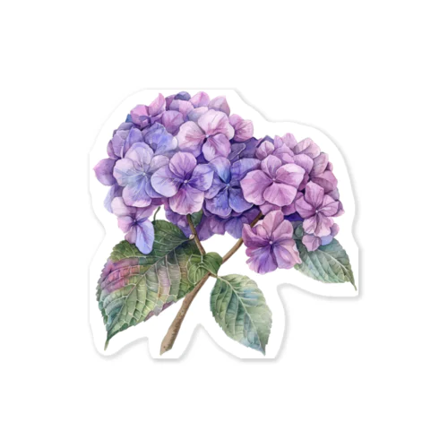 色鮮やかな紫陽花 Sticker