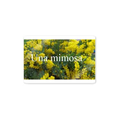 Una mimosa　　　☆ミモザワールド★ Sticker