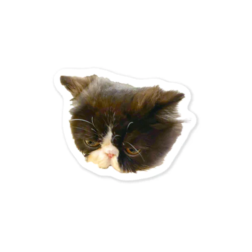 しょんぼりverたぬきねこドミ Sticker