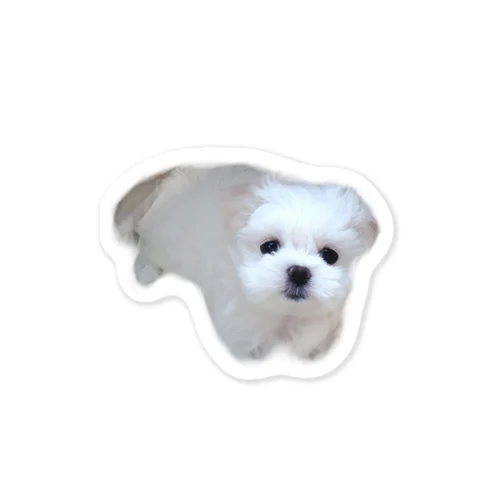 ミルクが家族になった日🐶 Sticker