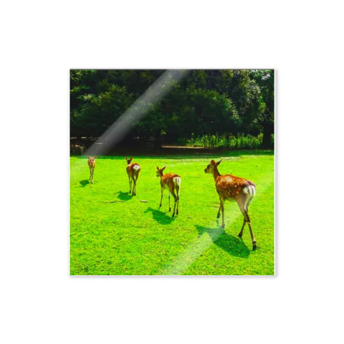 奈良公園の鹿が変える姿 ステッカー