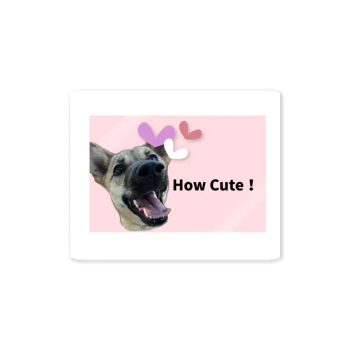 How Cute! Canvas! Sticker