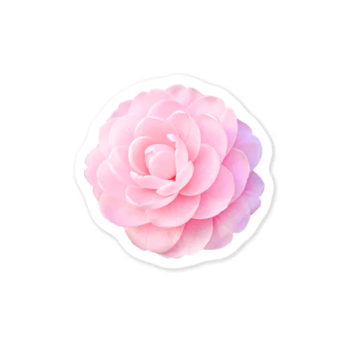 bright._maidencamellia_1 Sticker