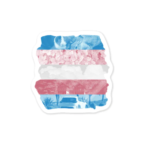 ペイント-Transgender color Sticker