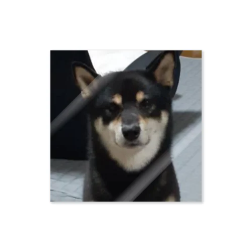 ハチくん Sticker