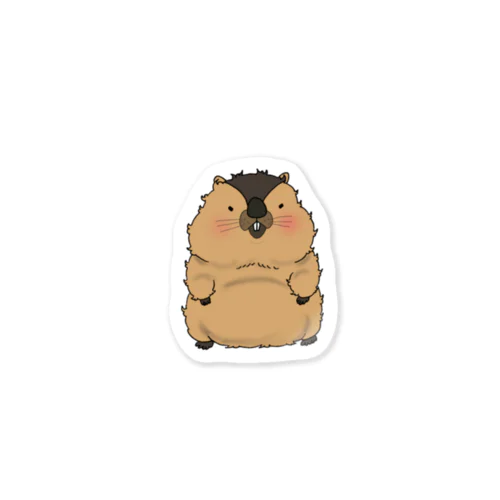 もじゃマーモットたち Sticker
