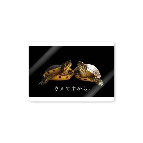 キバラガメのケビケビ Sticker