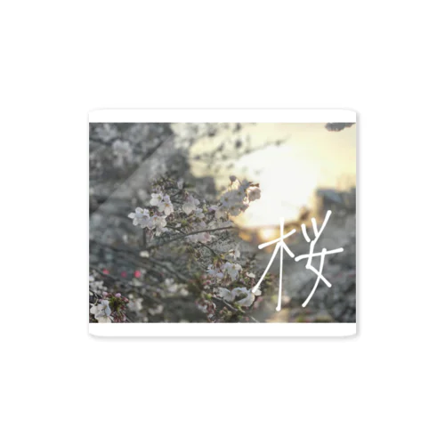 JAPAN beautiful flower - SAKURA Sticker