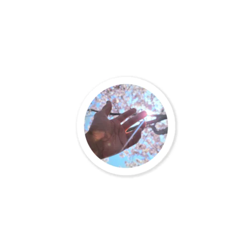 SAKURA Sticker