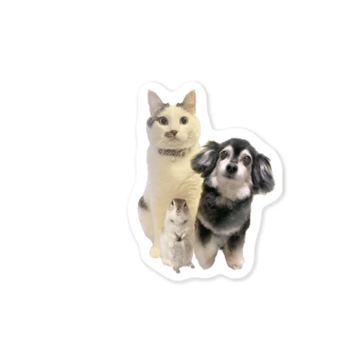 我が家のアイドル Sticker