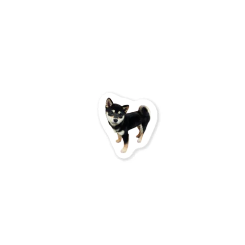 黒柴　ルー君 Sticker
