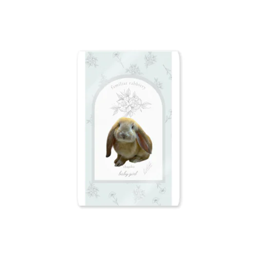 baby girl2 Sticker