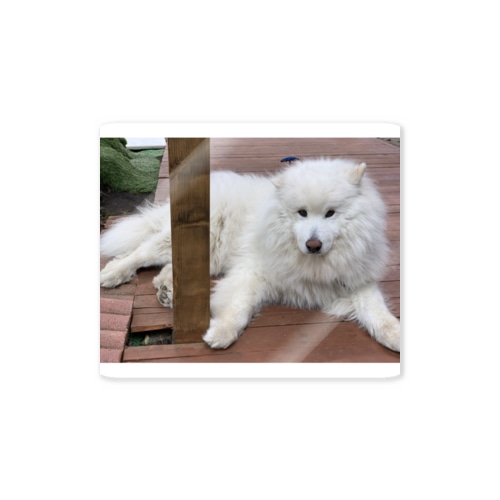 大福君 Sticker