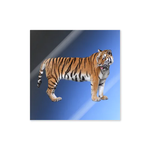 Tiger 青 Sticker