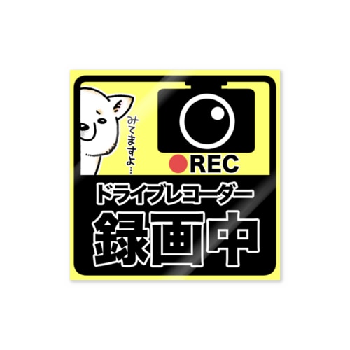 ドライブレコーダー録画中　白柴 Sticker