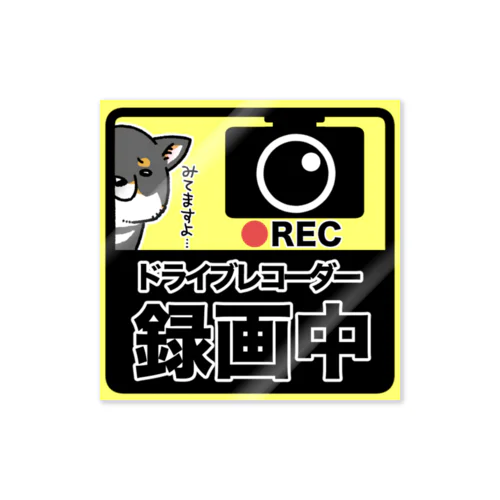 ドライブレコーダー録画中　黒柴 Sticker