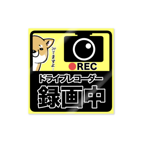 ドライブレコーダー録画中　赤柴 Sticker