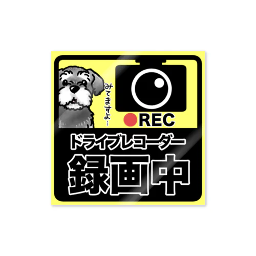 ドライブレコーダー録画中　シュナウザー Sticker