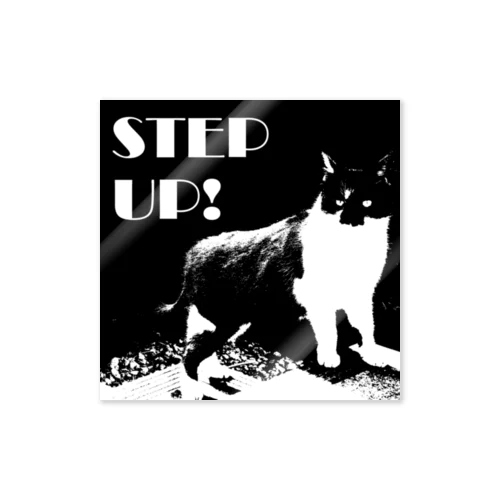 STEP UP!ねこ ステッカー