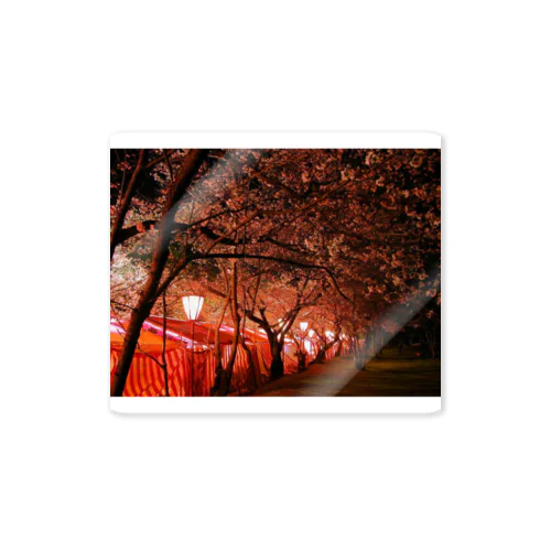 夜桜 Sticker