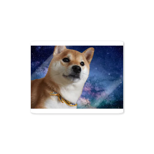 space dog Sticker