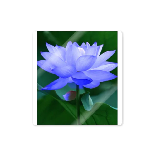 Bluewaterlily Sticker