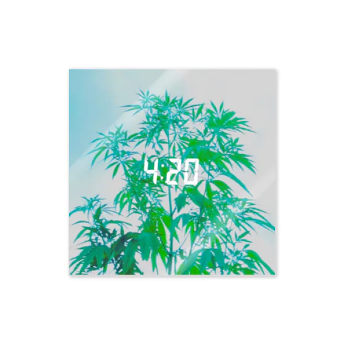 4:20 大麻 オリジナルステッカー Sticker