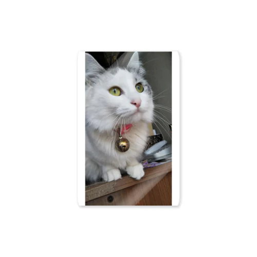 にゃんこ Sticker