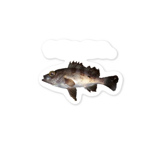 今日も釣り。明日も釣り。 Sticker