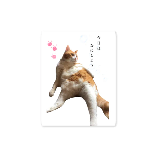 猫のちゃーさん　日常 Sticker