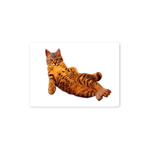 Elegant Cat ③ Sticker