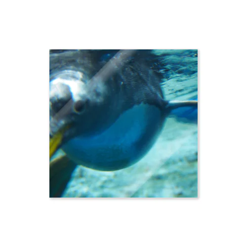 泳げペンギンくんシール Sticker